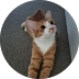 Image is not available